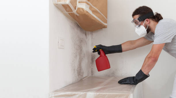 Professional Mold Remediation technician working in Montville, NJ