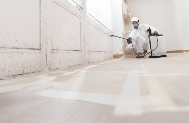 24/7 Emergency Mold Remediation experts in Montville, NJ