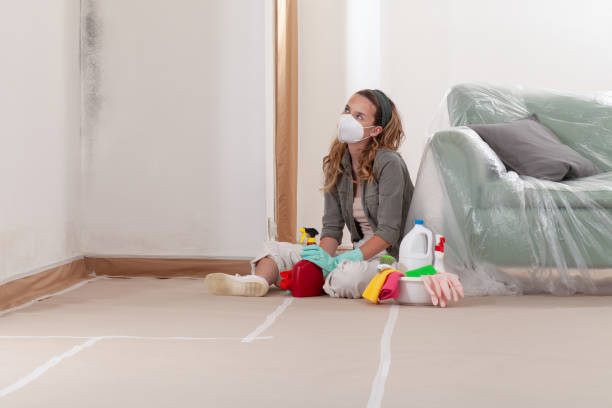 Reliable Mold Remediation contractor in Montville, NJ by Cheap Mold Removal