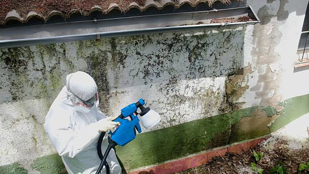 Top rated local Mold Remediation specialists in Montville, NJ